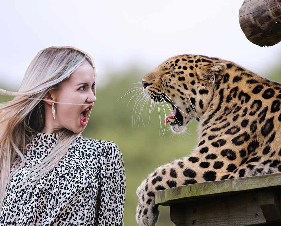 Animalprint … ganz schön wild bei GLAESERtextil